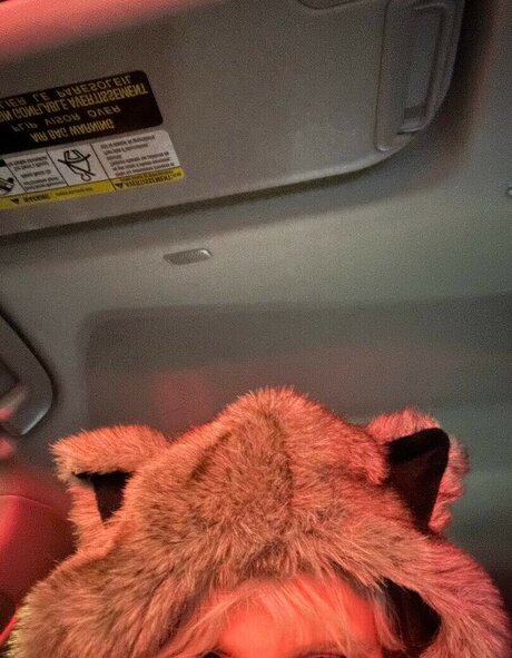 Katycarnegie スター xxx 写真