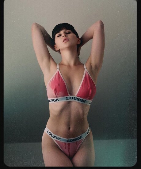 Sophie N ther 素敵なスター 画像
