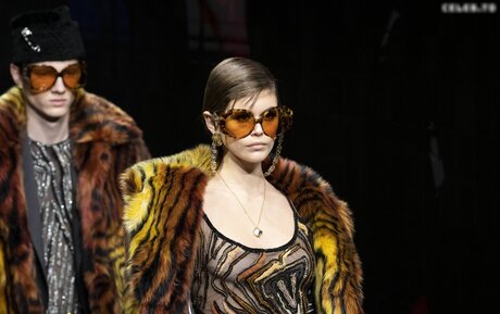 Discord 無料 オンリーファンズ 無料 アーカイブ