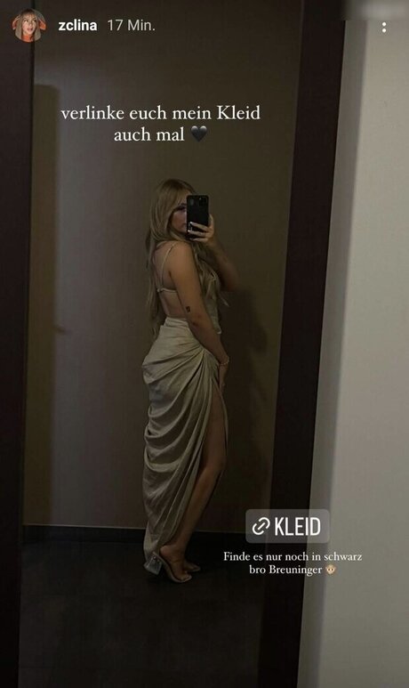 Zclina ポルノスター ベスト 画像