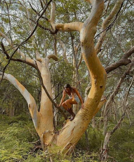 ブラジルの巨乳オンリーファンズ ポルノ ギャラリー