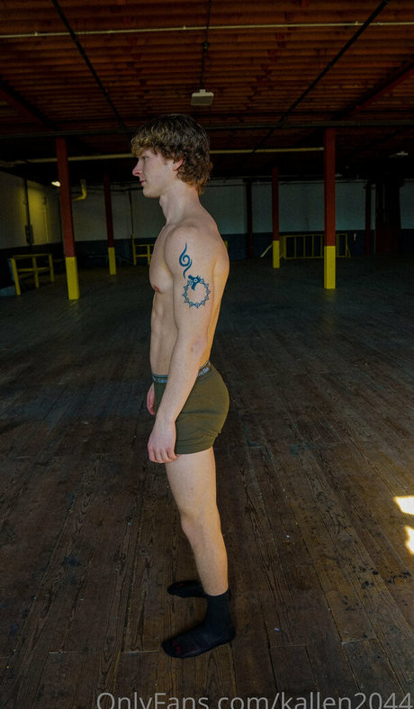 ロールプレイオンリーファン セクシーヌード 写真