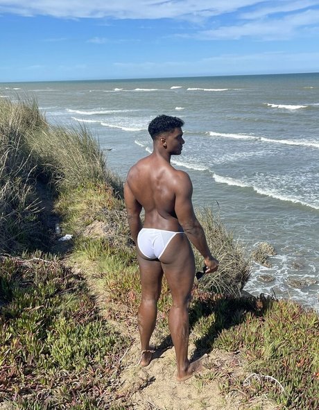 imroger free アート女優 写真