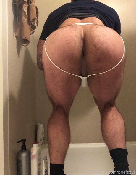 briefsbull 素敵なスター 写真