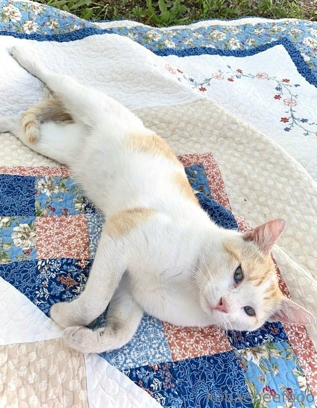 アジアンストッキング オンリーファンズ 無料xxx 写真