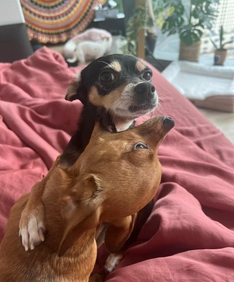 POVティーンオンリーファンズ ホットセックス 画像