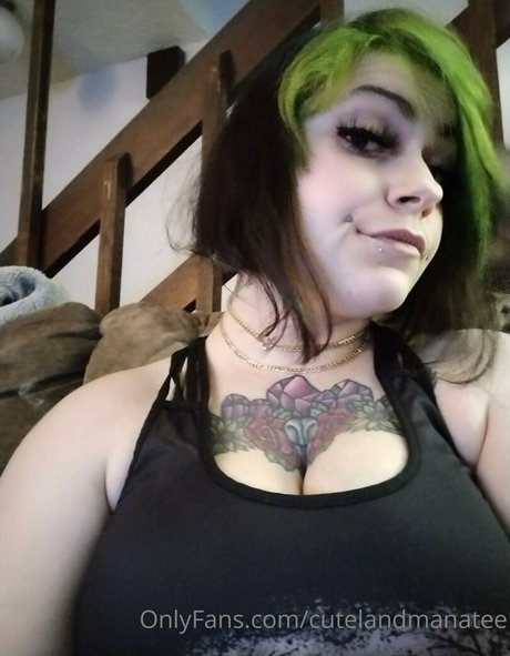 trusteemanatee 独占ポルノスター 画像