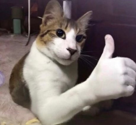 太ったトランスオンリーファンズ アート裸 写真