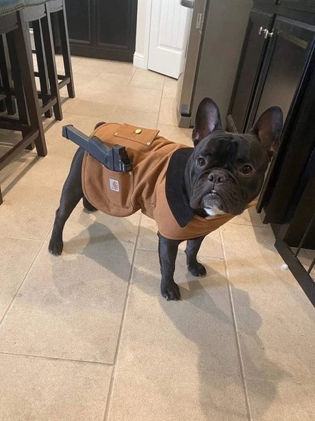 Lil Orlando ポルノスター 写真