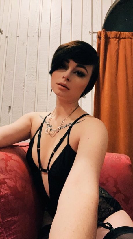 DMオンリーファン 限定 写真