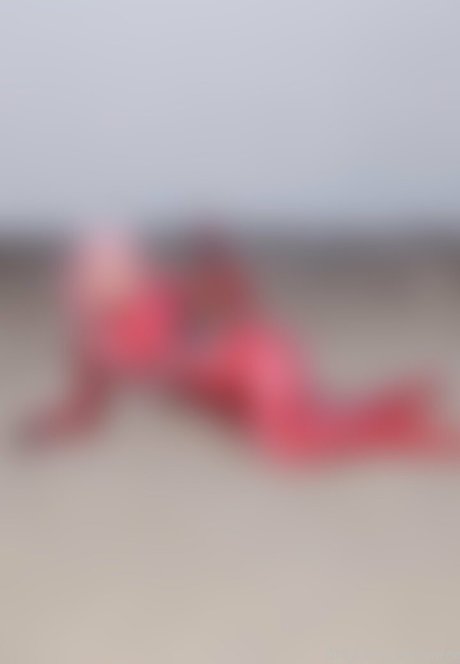 sinzor アートスター ギャラリー