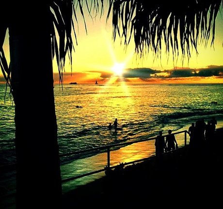 Jessica Lowndes 素敵なモデル 画像