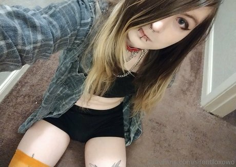 silentfoxowo HDモデル 写真