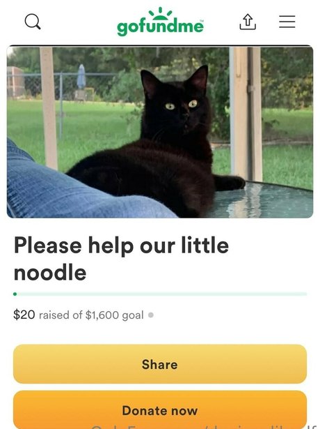 巻き毛のティーンズオンリーファンズ セックス 画像