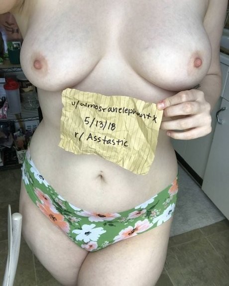 almostanelephantx 最高のスター 写真