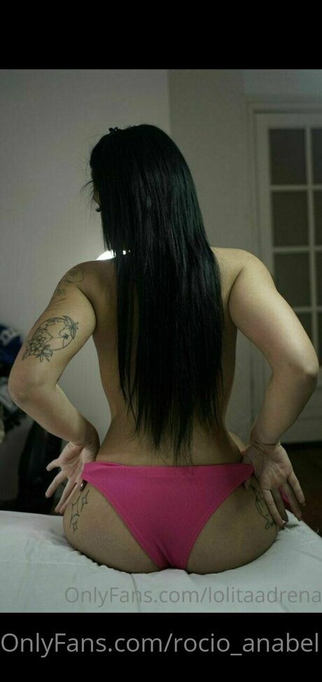 Baby Latina HDモデル 画像