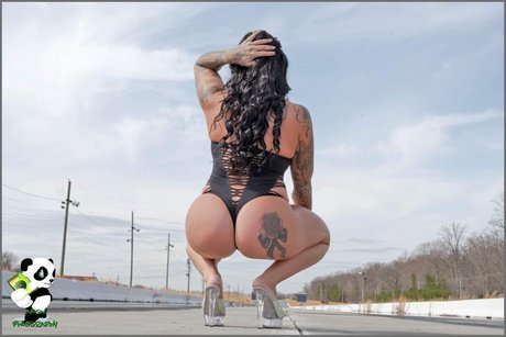 Ashley Leiphart ポルノスター 無料 写真