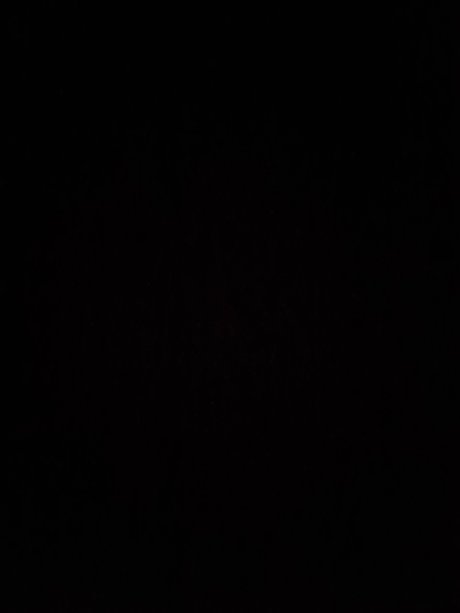 Maxihunter01 完璧なモデル 写真