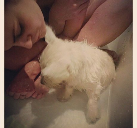 Rose And Rosie ヌードのポルノスター 写真