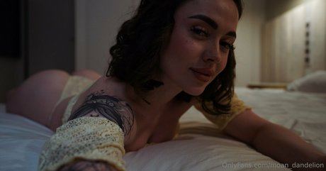 moan dandelion 完璧なスター 写真