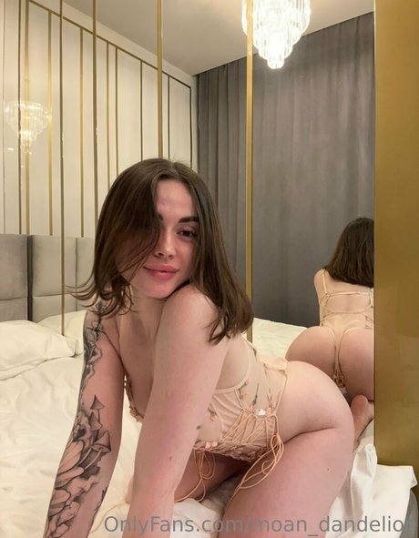 moan dandelion 完璧なスター 写真