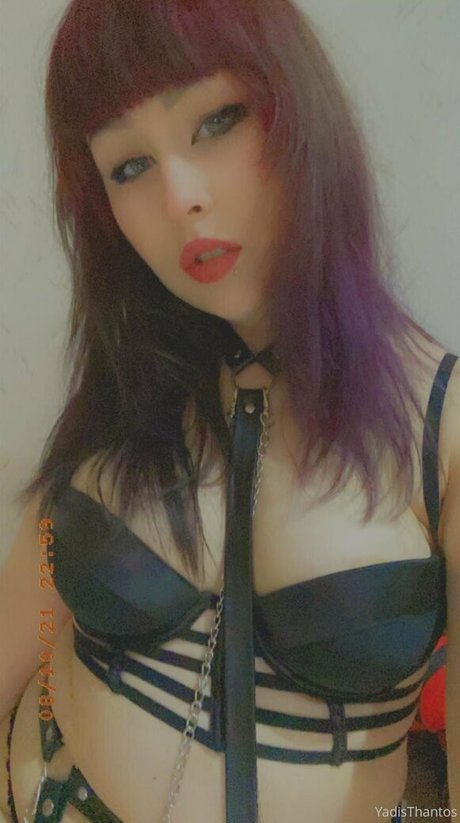 Yadisthantos かわいいスター 画像