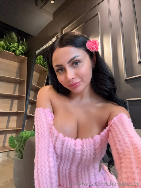 charlotte19y HDモデル 写真