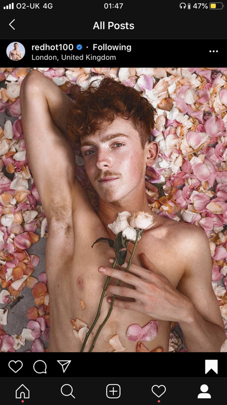 Ben Berkhout ホットスター 写真