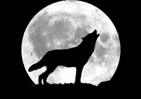 BadWolfZer0 裸モデル 写真