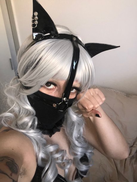Milk Kitten FREE ポルノスター 写真