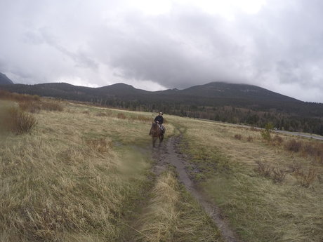 ボールオンリーファン セクシー 写真
