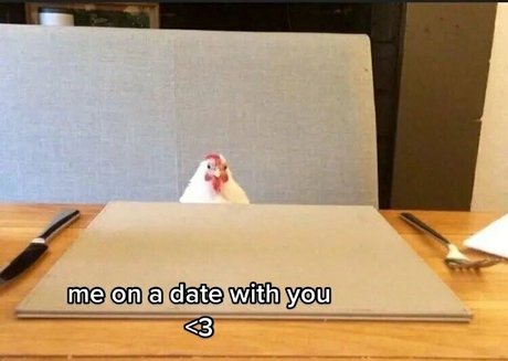 phat whale HD女優 写真