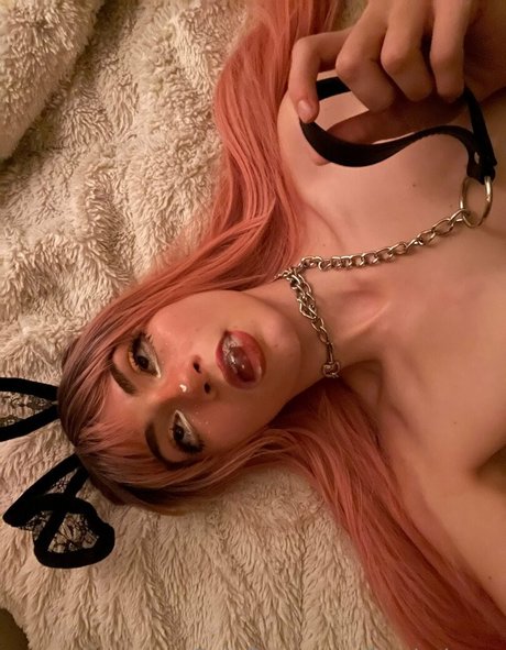 baybebona ポルノスター 写真