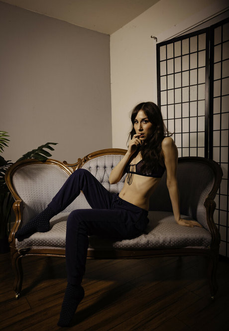 SDFoto アートスター アーカイブ