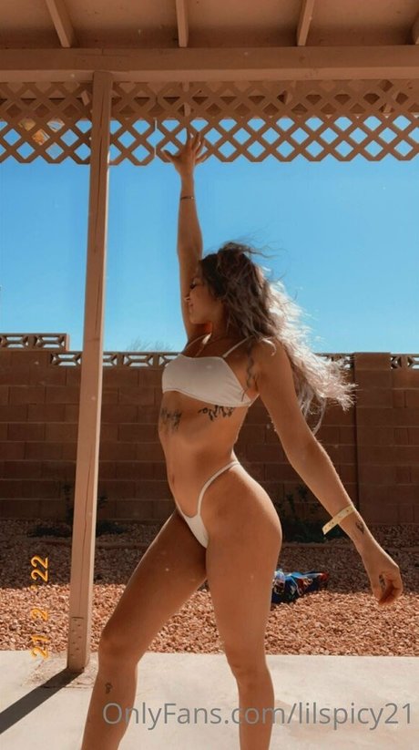 lilspicy21 HDモデル 写真