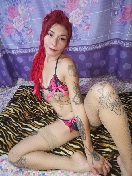 Gatita Feleena ポルノ女優 画像