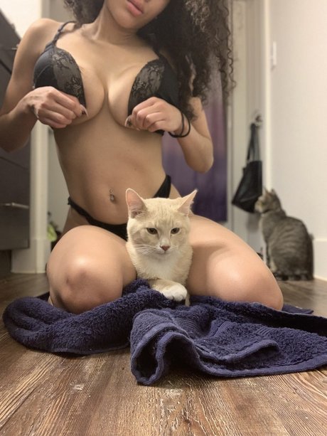 Nalakitty アートスター 画像