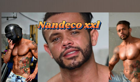 Nandeco xxl 限定モデル 写真