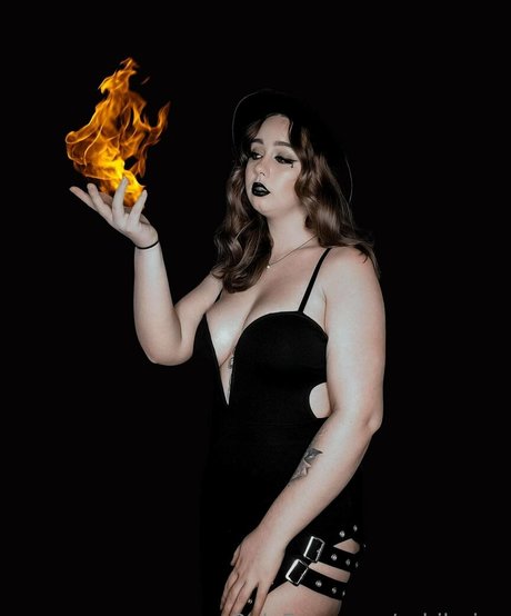 waverlyluxe スター 写真