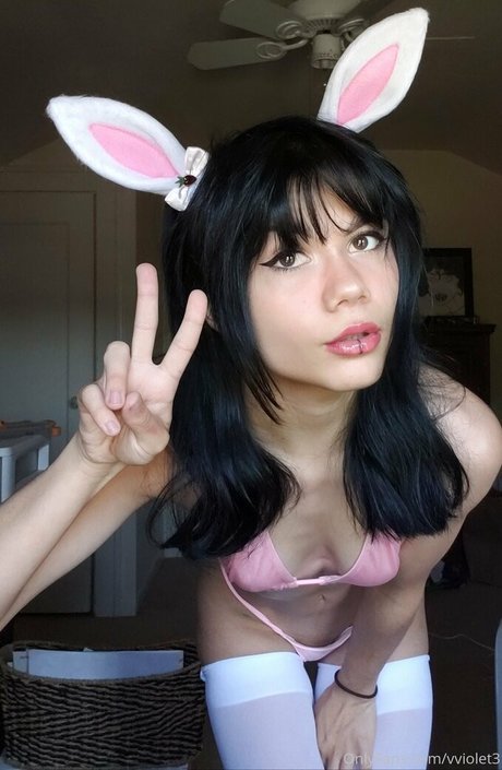 vviolet3 最高のスター 写真