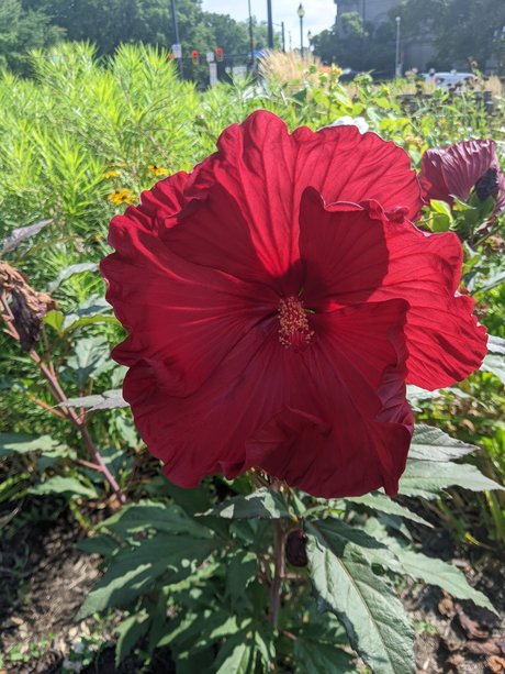 アジア人の巨根オンリーファンズ ホットセックス 画像