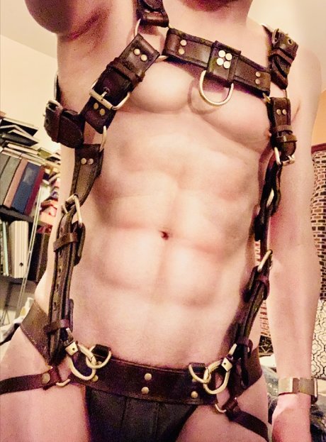 Preston Stone かわいいスター 写真