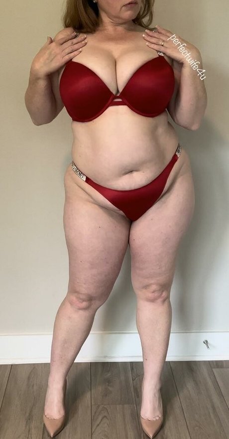 The Perfect Wife アートスター 写真