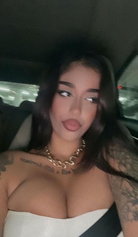 黒檀の猫オンリーファンズ HD 写真