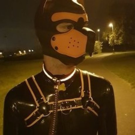 Quinnlyn ポルノスター トップ 画像