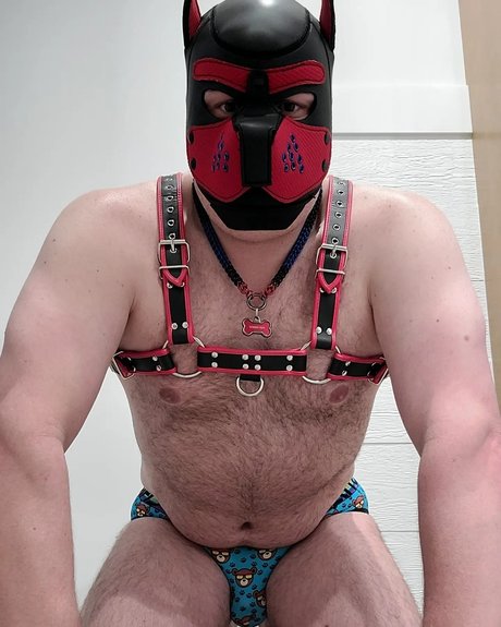 Pup Pouch セクシーなスター 画像