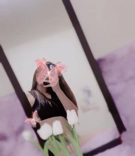 Tiny Butterfly 限定スター 画像