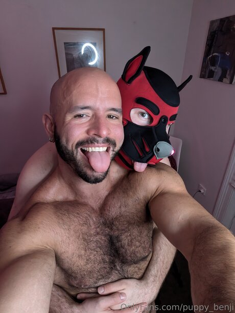 Pup Benji 高品質のポルノスター 写真
