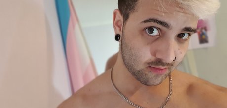 Trans Fantasy Free Account アダルトスター 画像