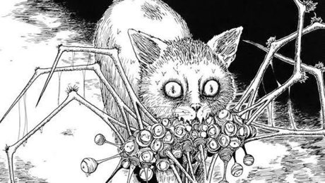 Ruby Foskett King ポルノスター HD 写真